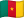 Cameroon flag